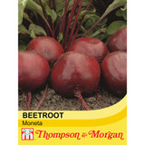 Beetroot Moneta