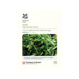 Herb Sage Summer Savory