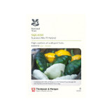 Squash Summer Mix F1 Hybrid