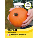 Pumpkin Wee Bee Little