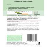 Broccoli 'Fiesta' F1 Hybrid (Calabrese) AGM Range