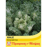 Kale 'Emerald Ice'