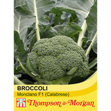 Broccoli 'Monclano' F1 Hybrid (Calabrese)