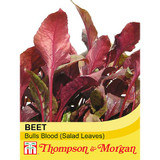 Beet 'Bull's Blood' (Salad Leaves)