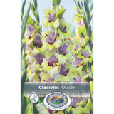 Gladiolus Oracle SBS
