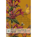 Hyssop - Kew Pollination Collection