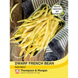 Dwarf French Bean Adoration (Yellow)