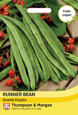 Bean Runner Scarlet Empire