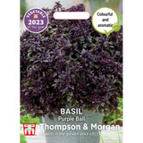 Herb Basil Purple Ball