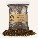 Alocasia Compost 5L