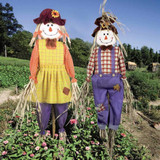 Mr Middleton’s Scarecrow Perfect For The Veg Or Cottage Garden