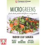 Microgreens Radish (Leaf) 'Sangria'