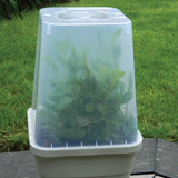 25cm Square Cloche Cover