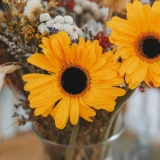 Fresh Irish Sunflowers – Grown by Mr Middleton in a vase