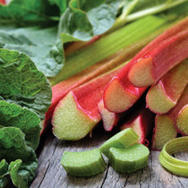 Rhubarb Timperley Early