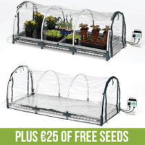 Jumbo Propagator Plus Free Seeds