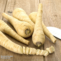 Parsnip Tender & True