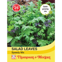 Salad Leaves - Speedy Mix (AIT04790)