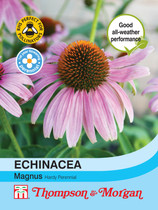 Echinacea Purpurea Magnus