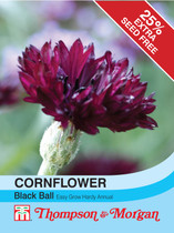Cornflower Black Ball