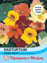 Nasturtium Alaska Mixed