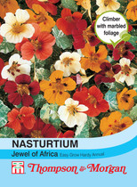 Nasturtium Jewel of Africa