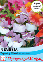 Nemesia Tapestry Mixed