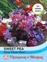 Sweet Pea Floral Tribute Mixed