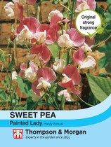 Sweet Pea Painted Lady