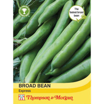 Broad Bean 'Express'