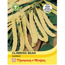 Climbing Bean Goldfield