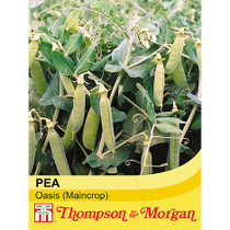Pea Oasis