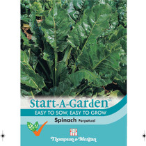 Spinach Perpetual Start a garden range