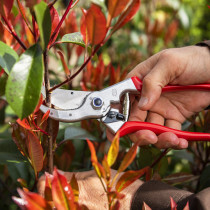 Felco Pruner Model 4 (F4)