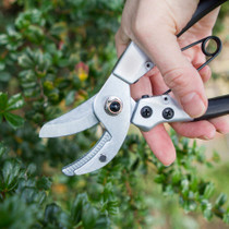 Compact Anvil Pruner (DP45)