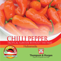 Chilli Pepper Habanada