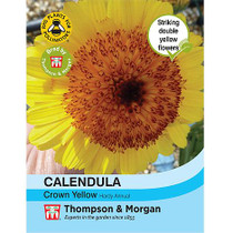 Calendula Crown Yellow