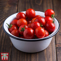 Tomato Veranda Red F1 