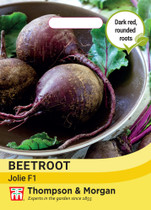 Beetroot Beta vulgaris Jolie F1