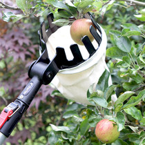 Expert Fruit Picking Basket