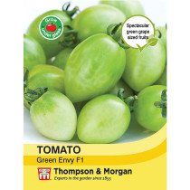 Tomato 'Green Envy' F1 Hybrid - Seeds