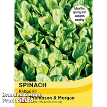 Spinach 'Patton' F1
