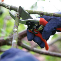 Folding Pruner Saw & Pruner Set (1111295WG)