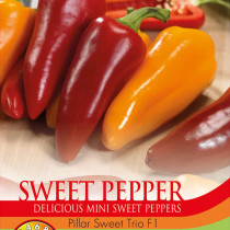 Sweet Pepper 'Pillar Sweet Trio' 