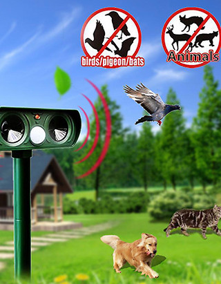 Pest & Animal Control