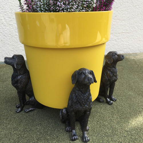 Mr Middleton’s Plant Pot Feet Labrador Mr Middleton’s Plant Pot Feet Labrador