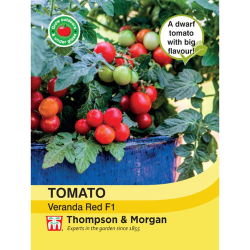 Tomato Veranda Red F1 Mr Middleton Garden Shop