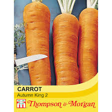 Carrot Autumn King 2

