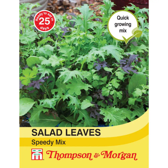 Salad Leaves - Speedy Mix (AIT04790)