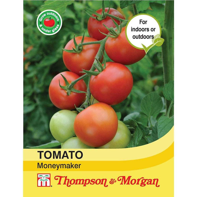 Tomato Moneymaker